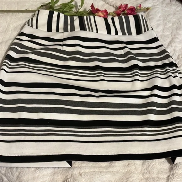 CABI SKIRT SIZE SMALL - Picture 5 of 5